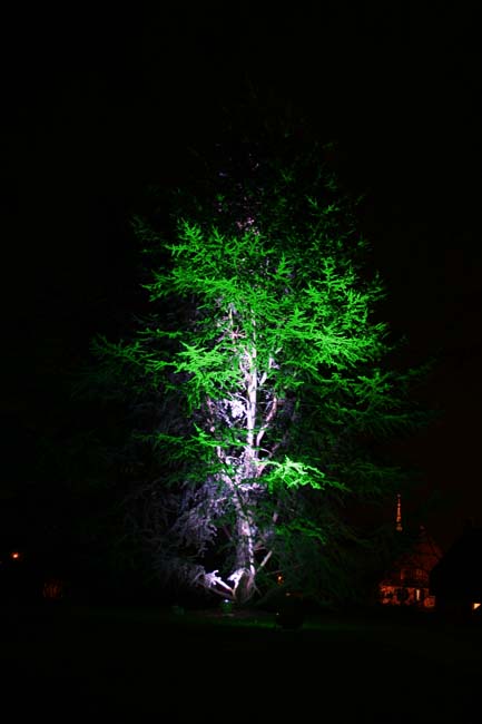 Arbre en lumière LED 01