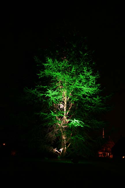 Arbre en lumière LED 02