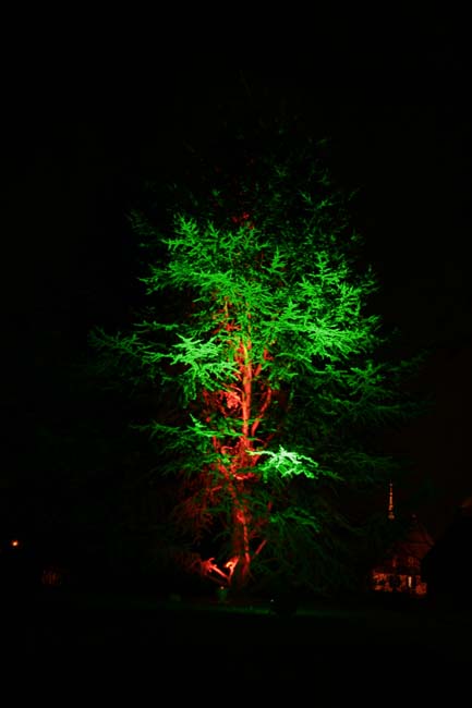 Arbre en lumière LED 04