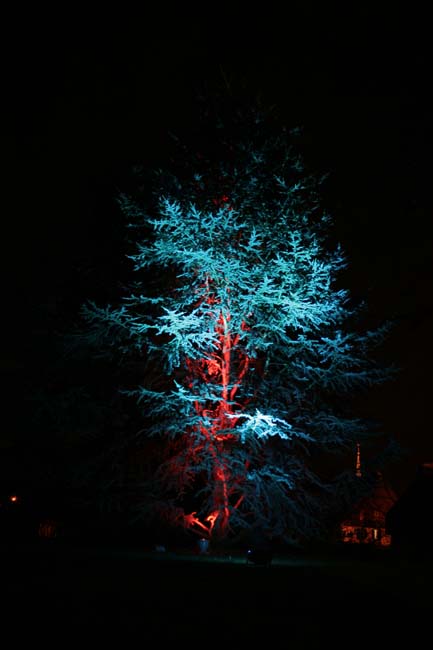 Arbre en lumière LED 05