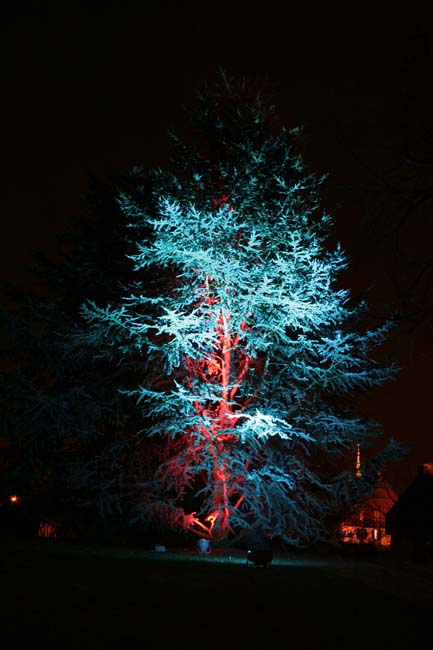 Arbre en lumière LED 06
