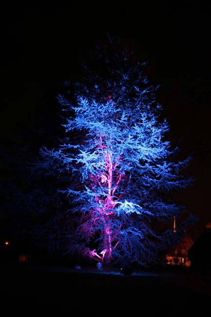 Arbre en lumière LED 10