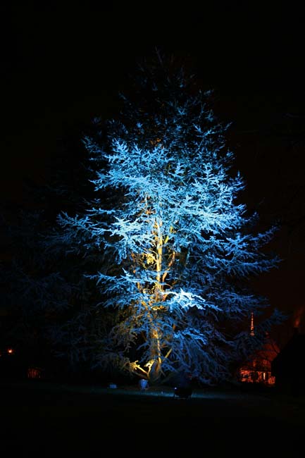 Arbre en lumière LED 13