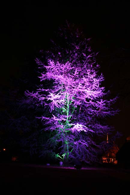 Arbre en lumière LED 14