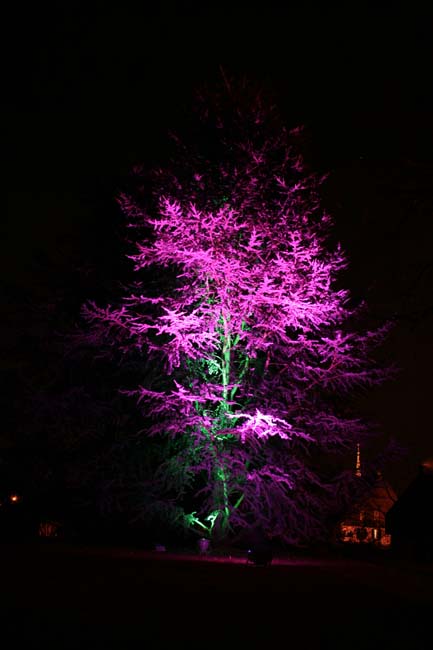 Arbre en lumière LED 15