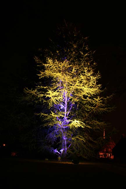 Arbre en lumière LED 16