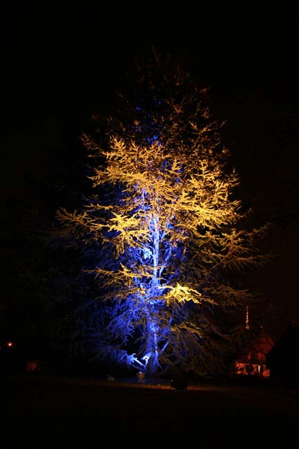 Arbre en lumière LED 17