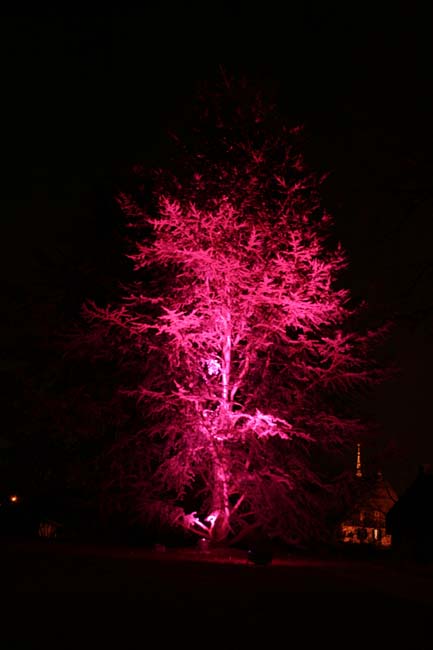 Arbre en lumière LED 20