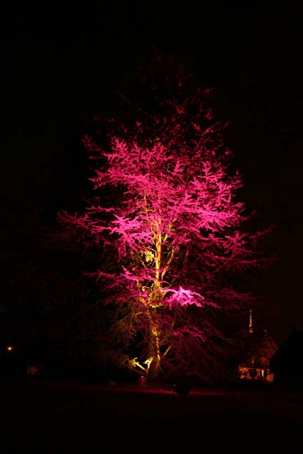 Arbre en lumière LED 21