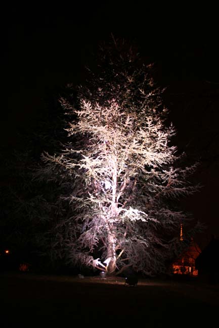 Arbre en lumière LED 23