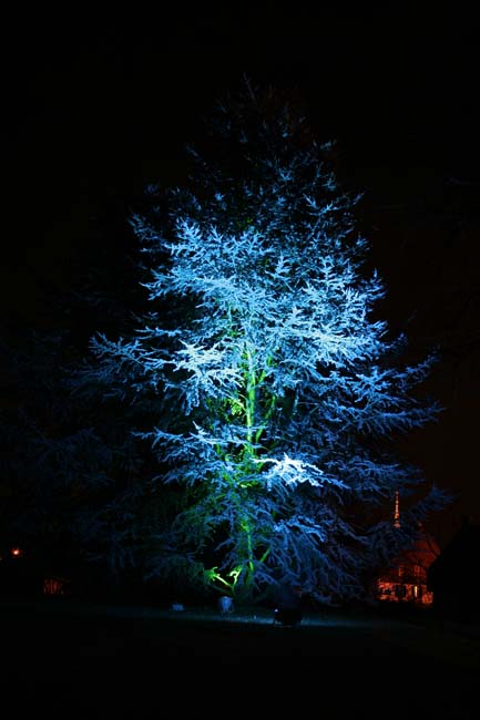 Arbre en lumière LED 24