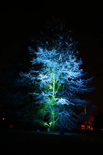 Arbre en lumière LED 25