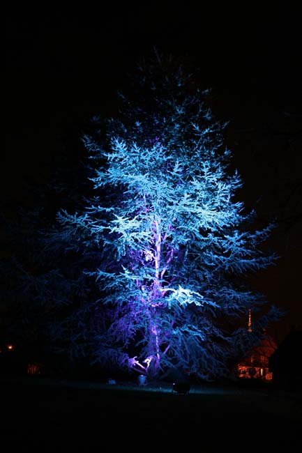 Arbre en lumière LED 26