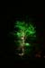 Arbre en lumière LED 02