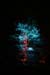 Arbre en lumière LED 05