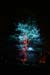 Arbre en lumière LED 08