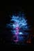 Arbre en lumière LED 09
