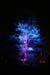 Arbre en lumière LED 10