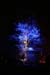 Arbre en lumière LED 12