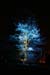 Arbre en lumière LED 13