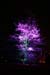 Arbre en lumière LED 14
