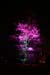 Arbre en lumière LED 15