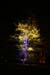 Arbre en lumière LED 16