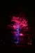 Arbre en lumière LED 19