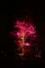 Arbre en lumière LED 21