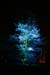 Arbre en lumière LED 24
