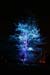 Arbre en lumière LED 26